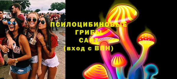 ПСИЛОЦИБИНОВЫЕ ГРИБЫ Медногорск
